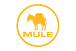Mule